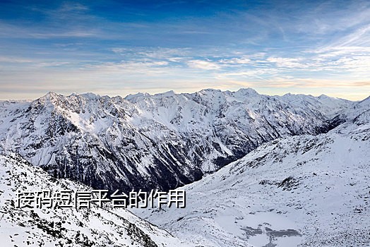 接码短信平台api