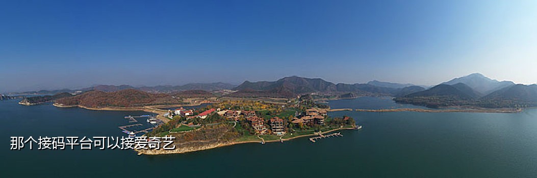 接码短信接受