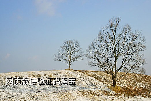 接韩国手机验证码