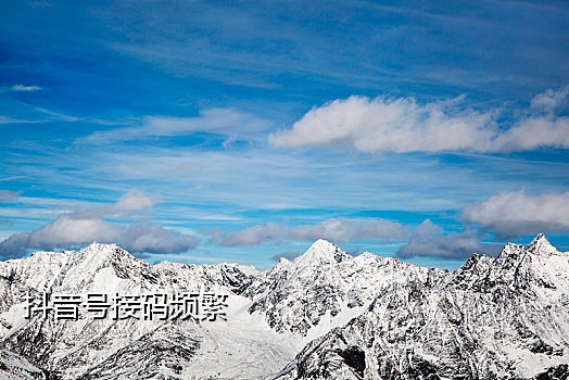 接国外手机验证码网站