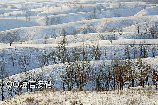 接短信验证码注册账号