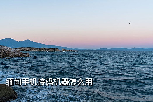 接短信验证码扣话费