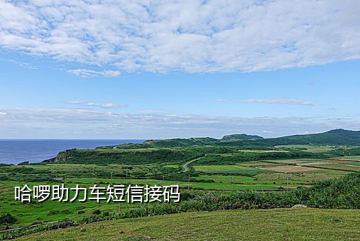 接不到twitter验证码