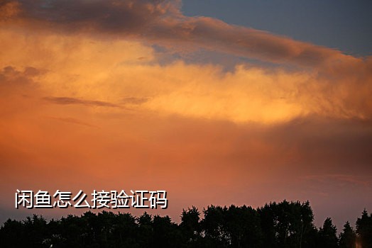 华为手机怎么接不到验证码