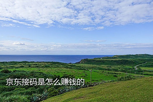 国外手机卡接码平台