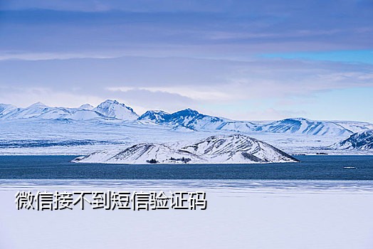 国外手机号怎么接验证码