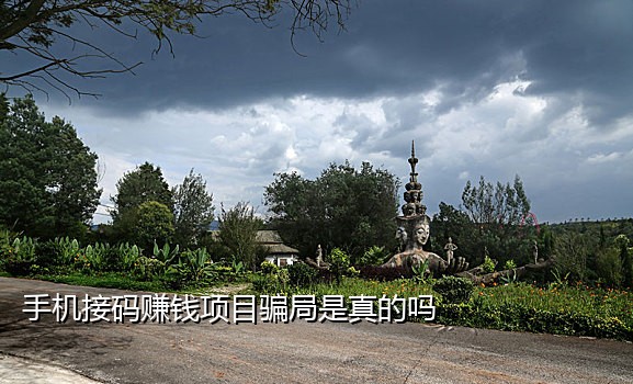 国内免费接短信码平台