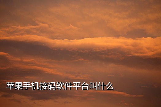 国内接码的手机叫什么号码