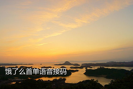 个人短信接码平台