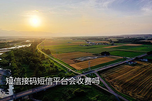 风火云接码手机版