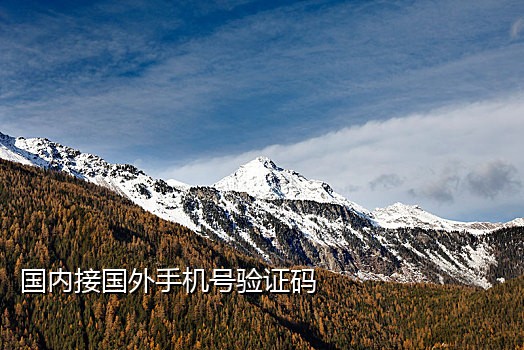 风火云接码客户端手机版