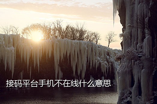 短信接码平台哪个靠谱