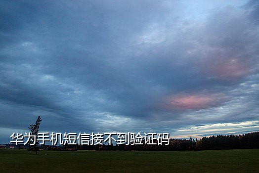 短信接码哪个好用