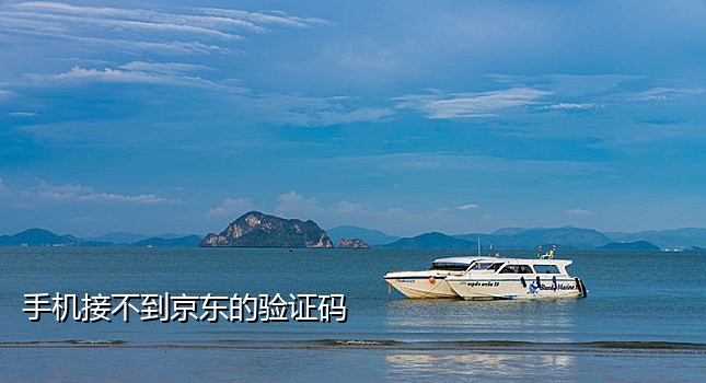 短信接码免费网页版登陆