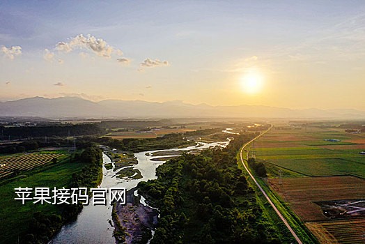 短信接码吗