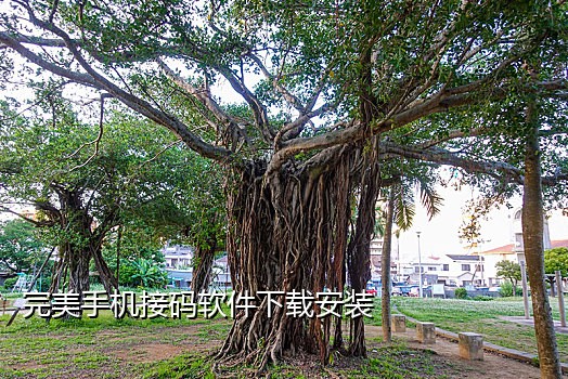 短信接码对接是什么意思