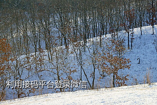 抖音验证码接码