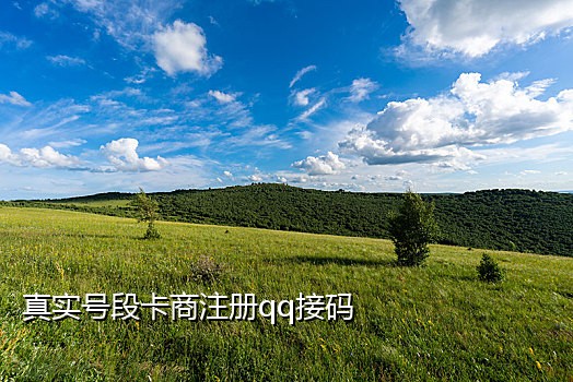 抖音网页接码平台