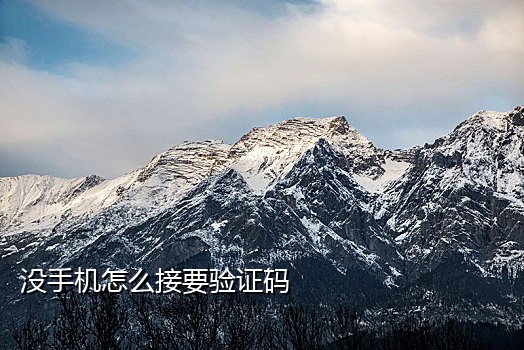 抖音美国接验证码平台