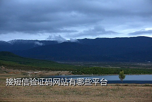钉钉接码多少钱