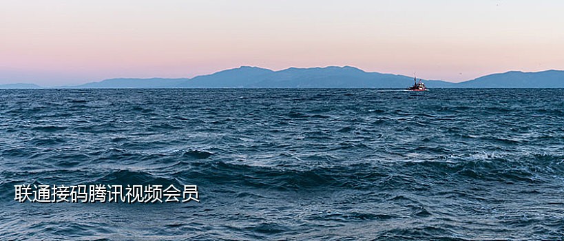 店群手机接码神器怎么使用