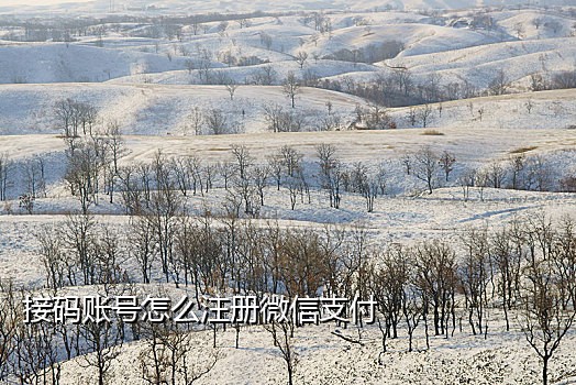 代接台湾手机号验证码