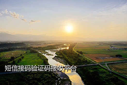 斑马接码平台手机上能用么