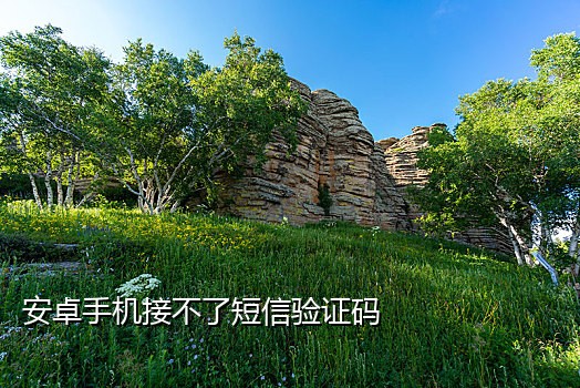 八戒短信接码平台