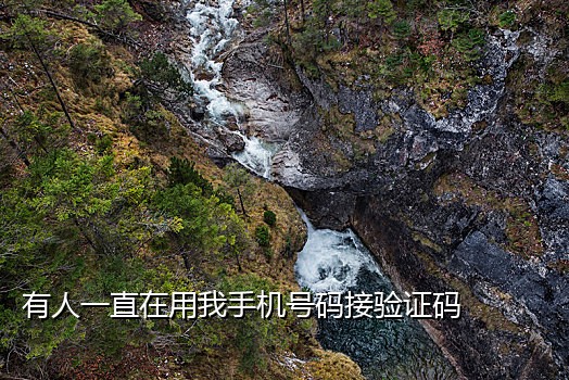 爱码手机验证码接码平台