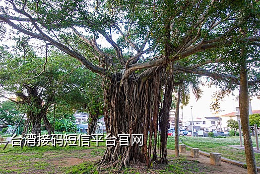 win8.1连接苹果鼠标输入码无效