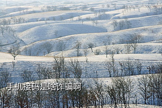 大学门口要你微信扫码接