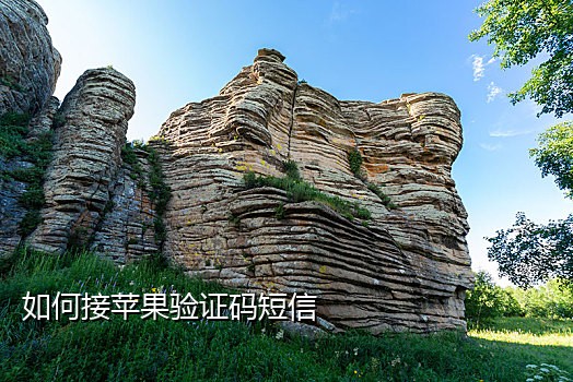 potato接码交流群