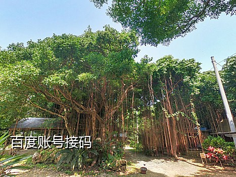 不用手机可以接验证码吗