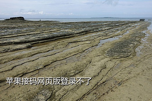 中国短信接码器