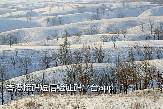 云验证码接码短信平台