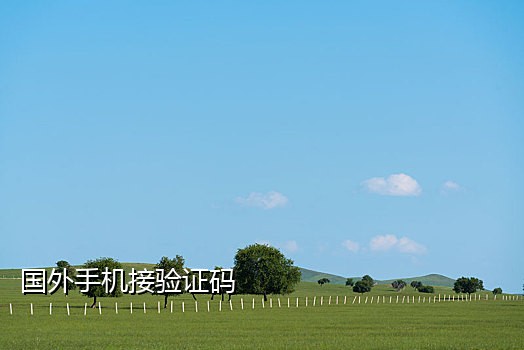 云码接码短信平台下载安卓