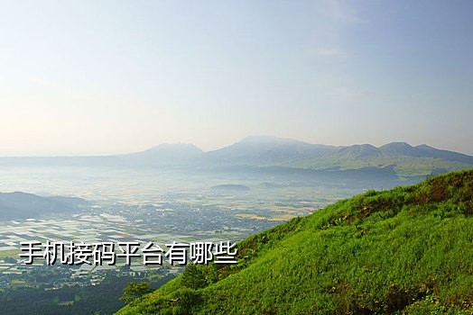 云短信接码源码