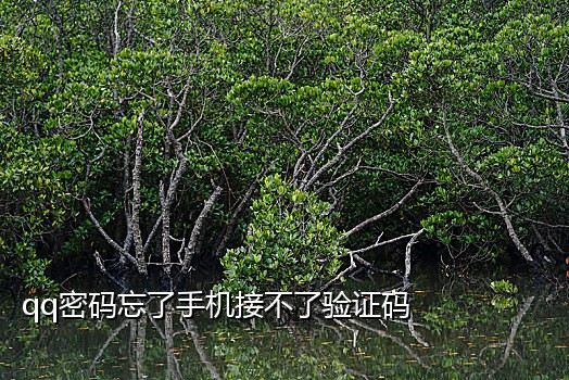 斑马接码对接QQ群