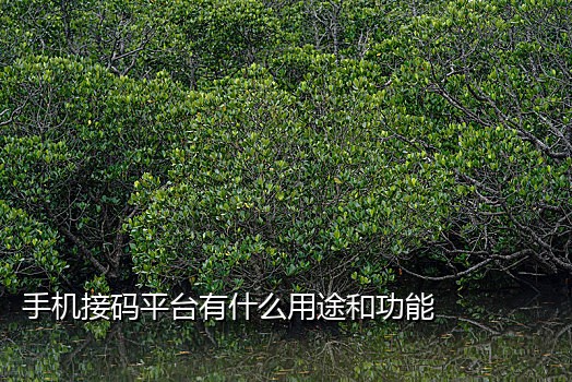 移动手机号接验证码领红包
