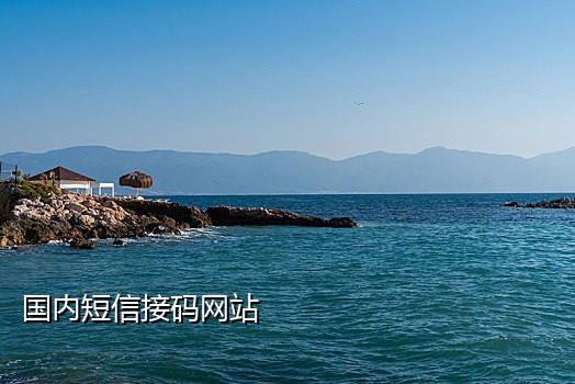 亚马逊日本站怎么接码