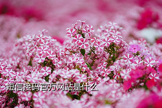 小米手机接码怎么解