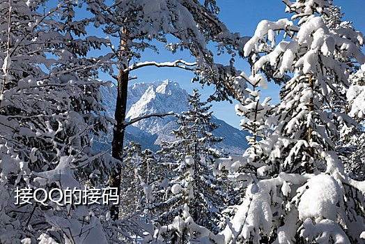 闲鱼实名接码号