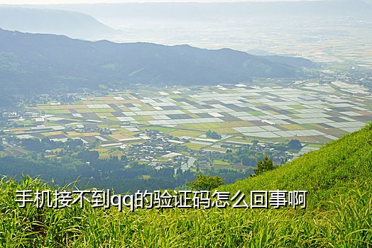 为啥手机号接不到验证码
