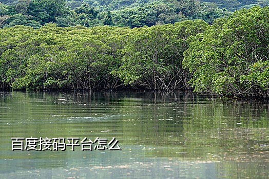 微信接码注册方法