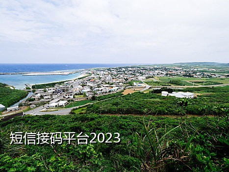 网易音乐接码年卡