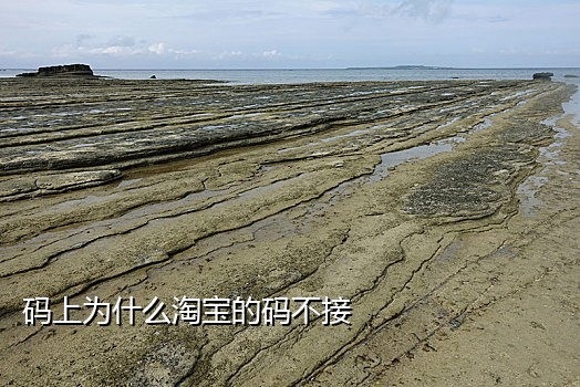 安徽移动手机号接码