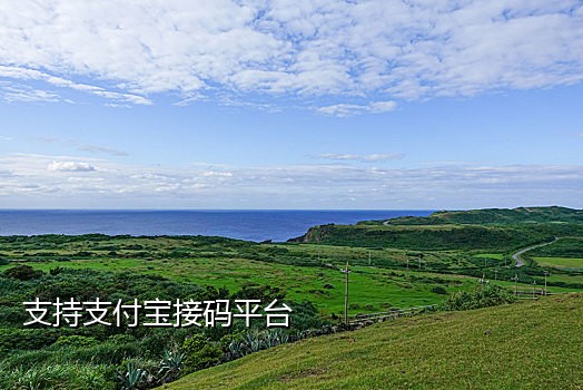 探探接码号是什么号