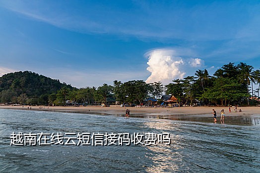 手机接码器下载安装