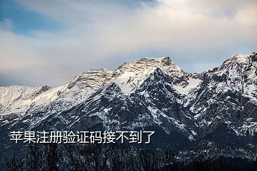 手机接码app2021