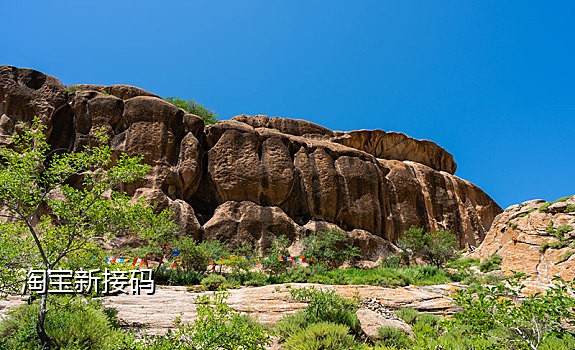 手机号码怎么接验证码登录